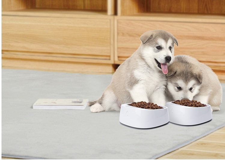 Pet weighing dog food
