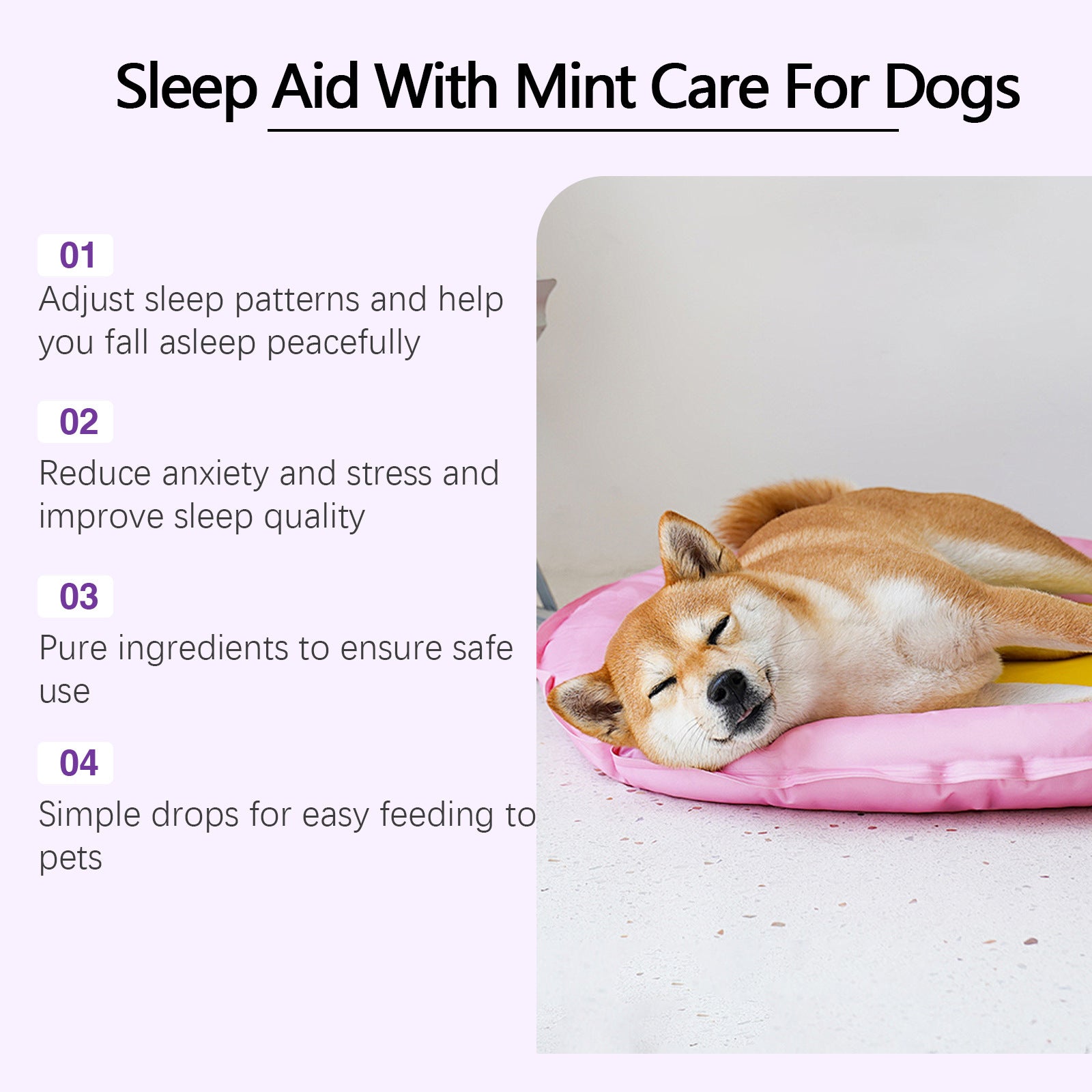 Dog Sleep Drops Care For Night Sleep