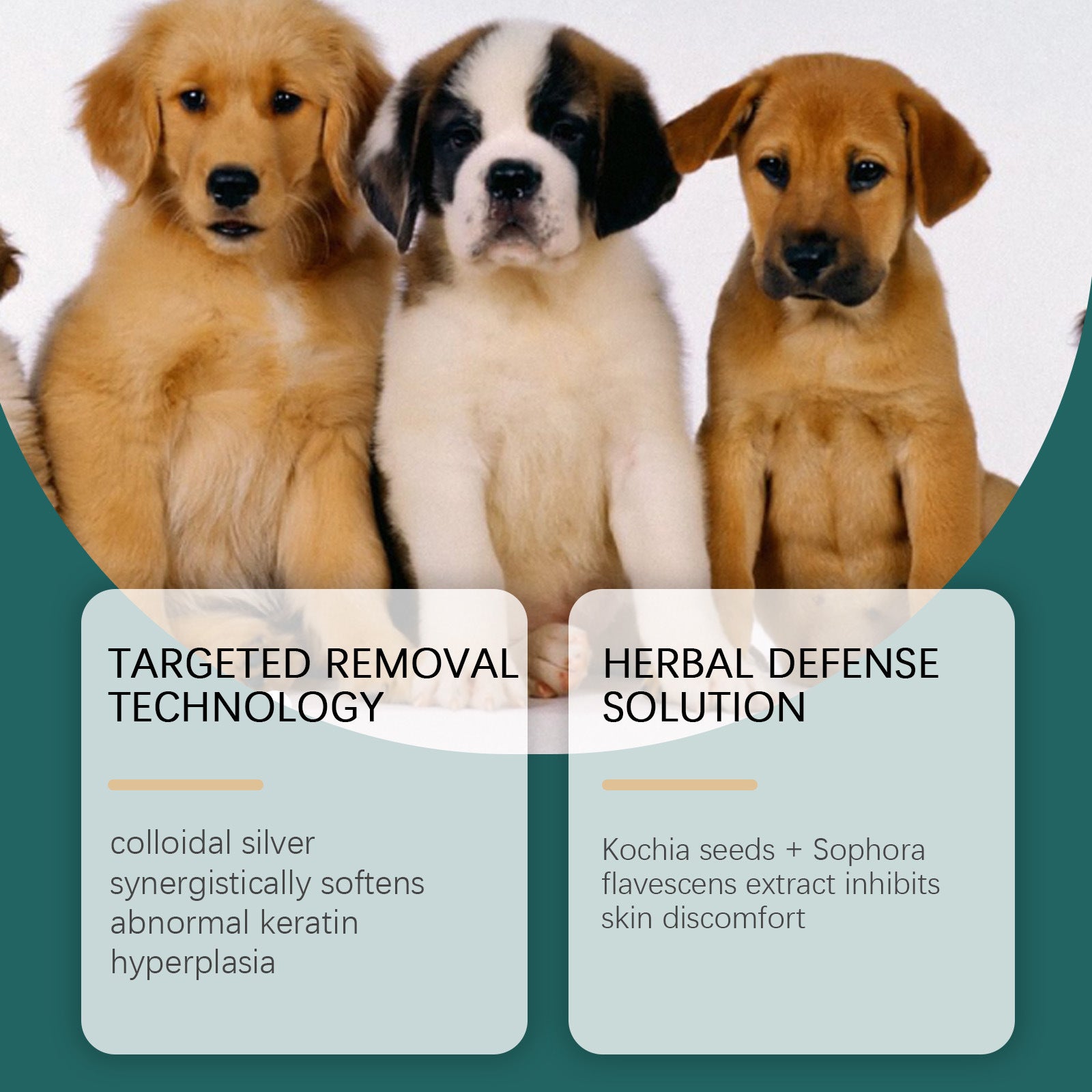 Household Portable Dog Skin Care Drops