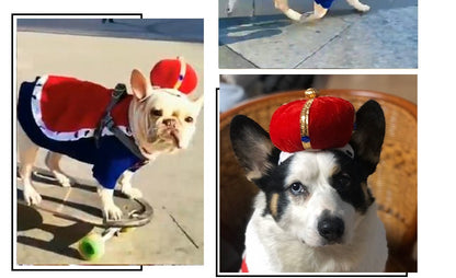 Dog Halloween Christmas Headgear Strange Headdress Supplies