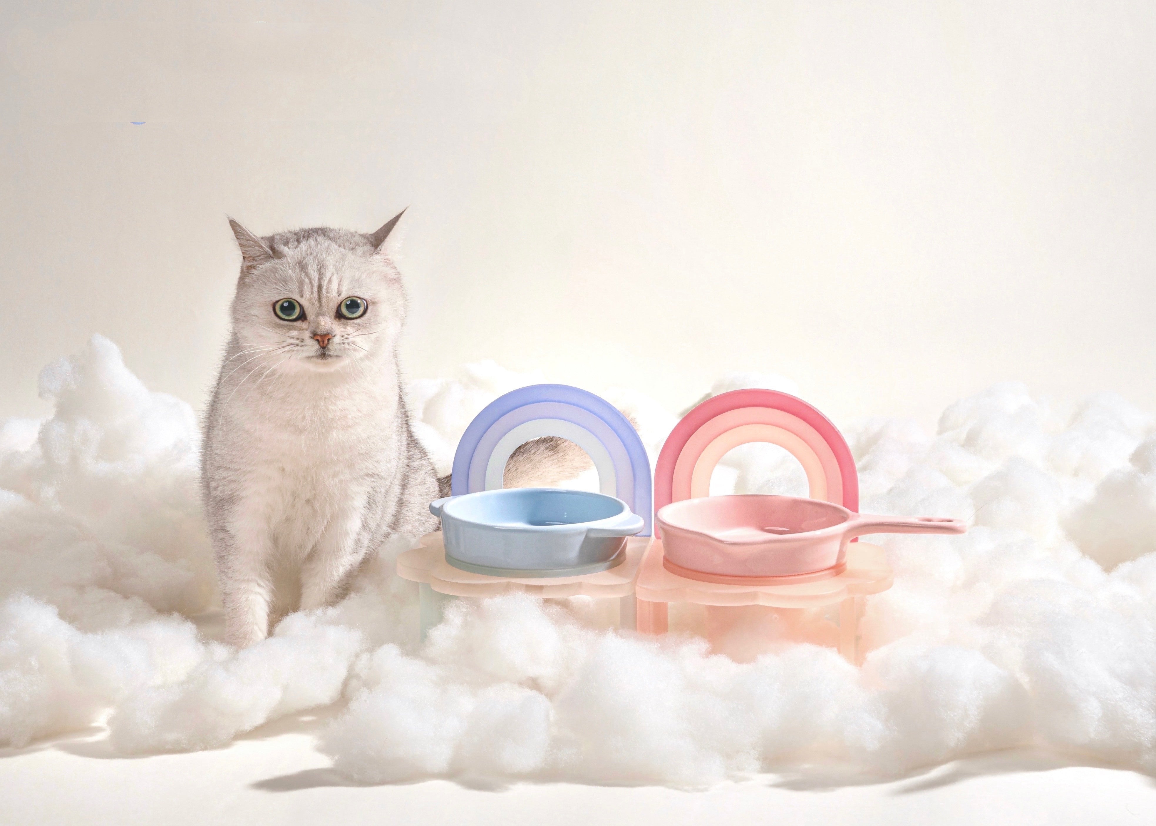 Rainbow Cat And Dog Bowl Rack Cute Pet Supplies
